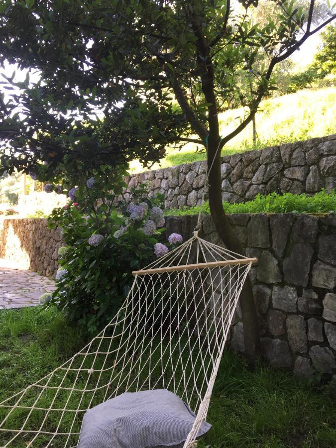 Gli Amici Di Carla Otel La Spezia Dış mekan fotoğraf